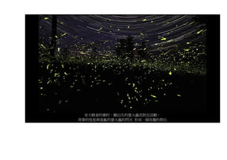 安大略省的鄉村，剛出生的螢火蟲在附近活動。
背景的恆星與混亂的螢火蟲的閃光 形成一個有趣的對比
 