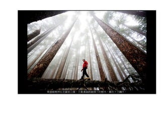 華盛頓奧林匹克國家公園，大衛漢森跨越倒下的樹木，霧在下方飆升。
 