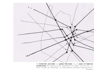 A wildlife corridor or green corridoris an area of habitatconnecting ()populations separated by human activities ()This allows an exchange of individuals between populationsWikipedia