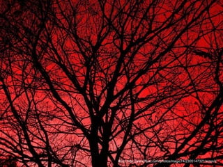 Bron: http://www.flickr.com/photos/magic74/2305147321/sizes/l/
 