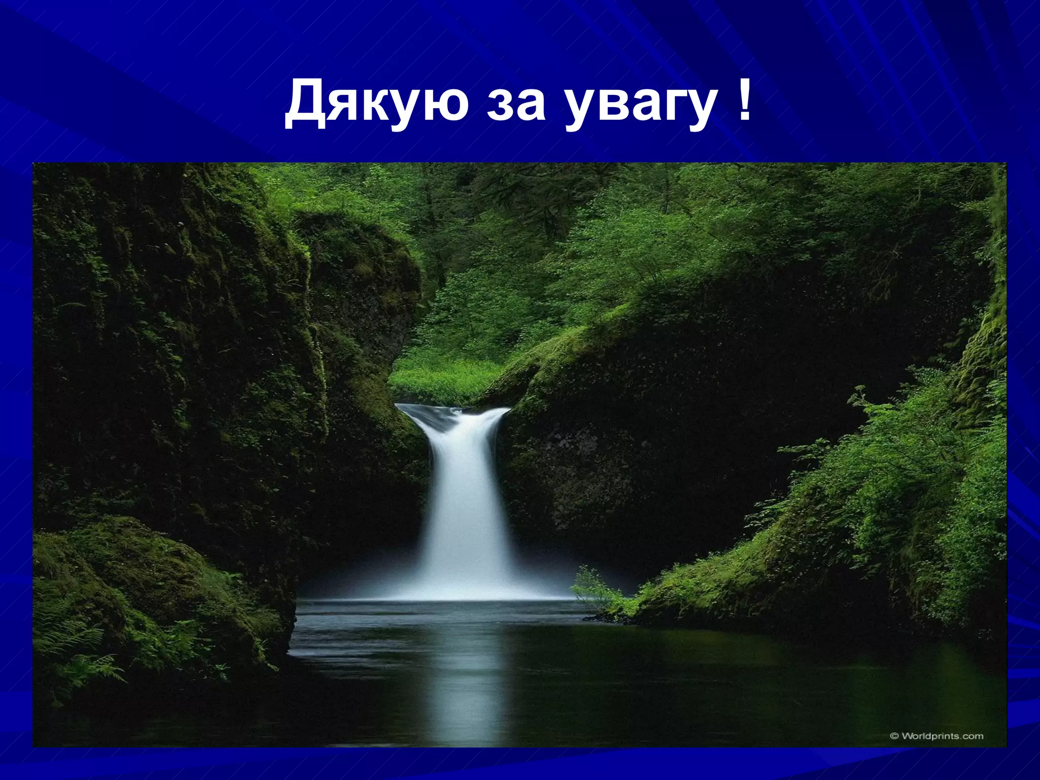 Дякую за увагу ! 