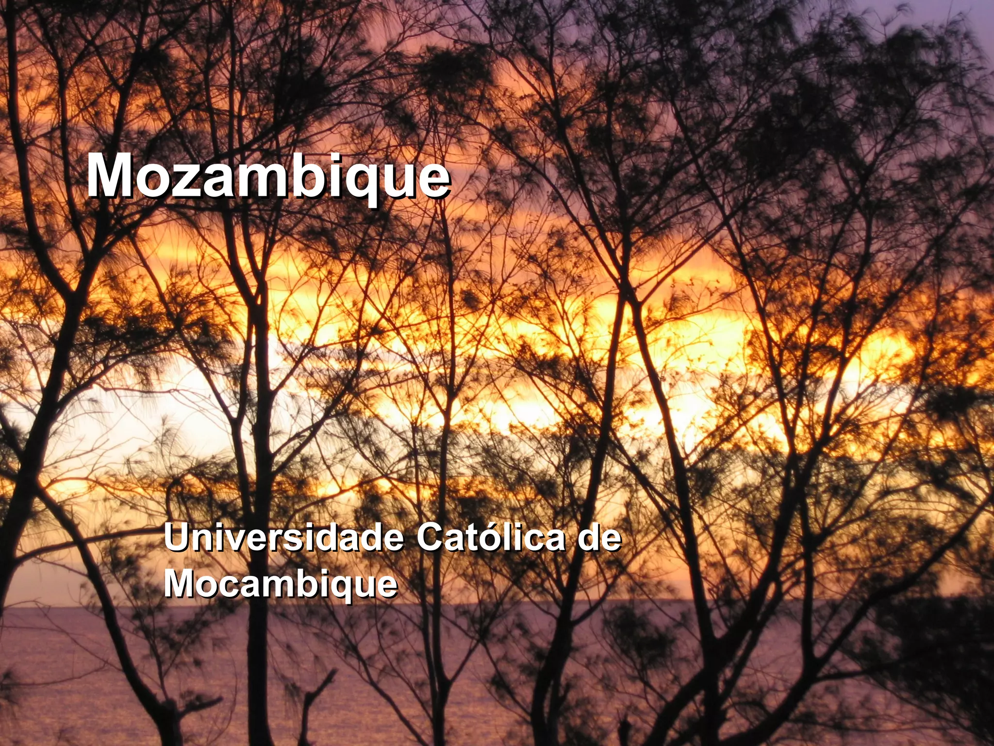 MozambiqueMozambique
UniversidadeUniversidade CatólicaCatólica dede
MocambiqueMocambique
 