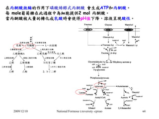 在丙酮酸激酶的作用下磷酸烯醇式丙酮酸會生成ATP和丙酮酸。 
每mole葡萄糖在此過程中為細胞提供2 mol 丙酮酸。 
當丙酮酸被大量的轉化成乳酸時會使得pH值下降，溶液呈現酸性。 
2009/12/10 National Formosa U...