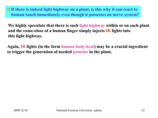 If there is indeed light highway on a plant, is this why it can react to 
human touch immediately even though it possesses...