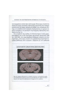 Κινητό Τηλέφωνο & Υγεία - Κ.Θ. Λιολιούσης (2009)