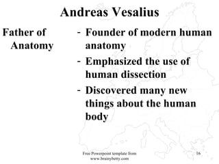 Andreas Vesalius Father of Anatomy Founder of modern human anatomy Emphasized the use of human dissection Discovered many new things about the human body Free Powerpoint template from www.brainybetty.com 