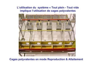 L’utilisation du système « Tout plein - Tout vide
       implique l’utilisation de cages polyvalentes




Cages polyvalentes en mode Reproduction & Allaitement
 