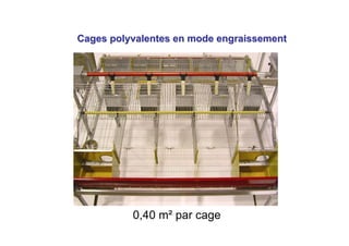 Cages polyvalentes en mode engraissement




          0,40 m² par cage
 
