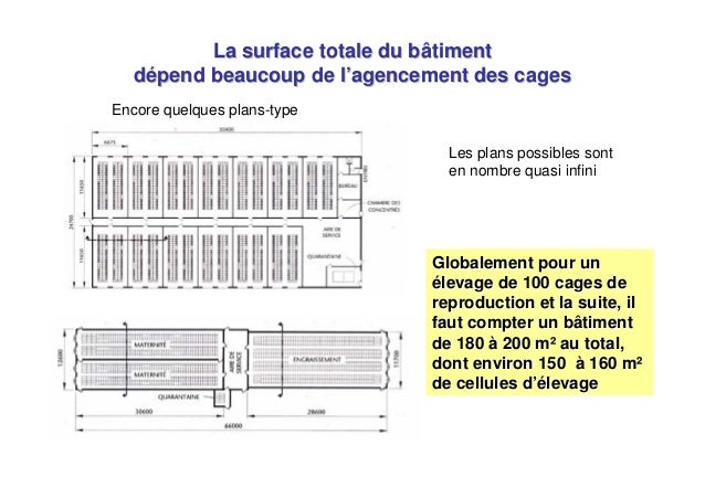 Women's guide to investing image