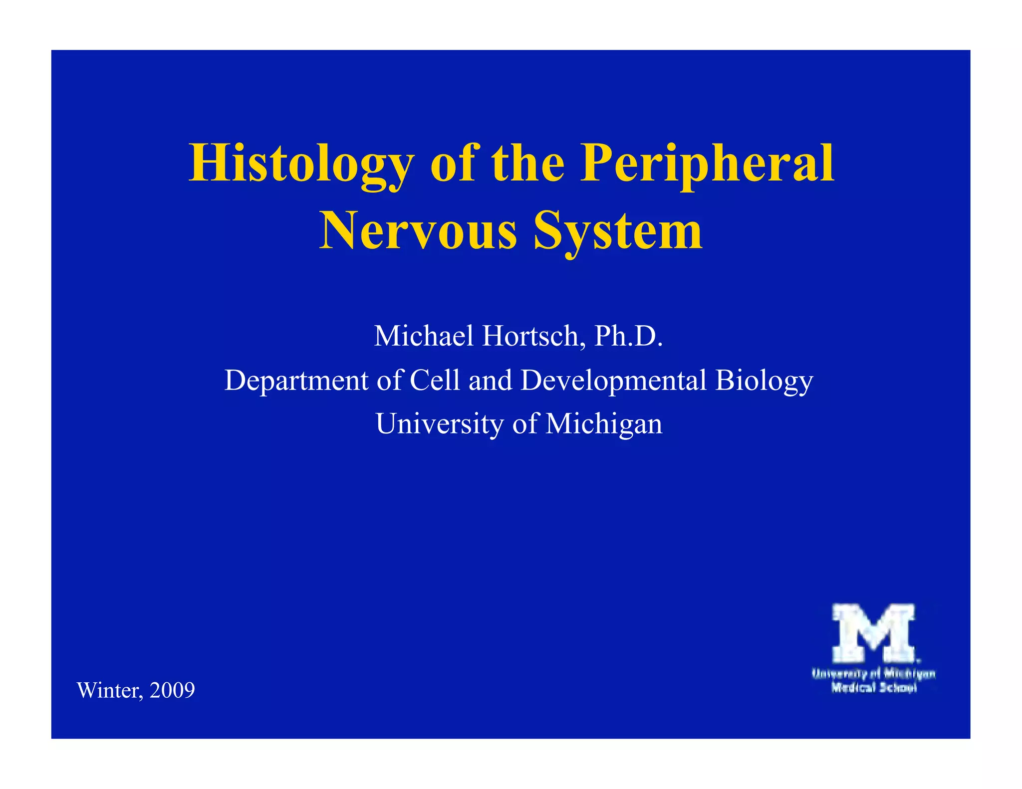 09.22.08: Histology of the Peripheral Nervous System | PDF