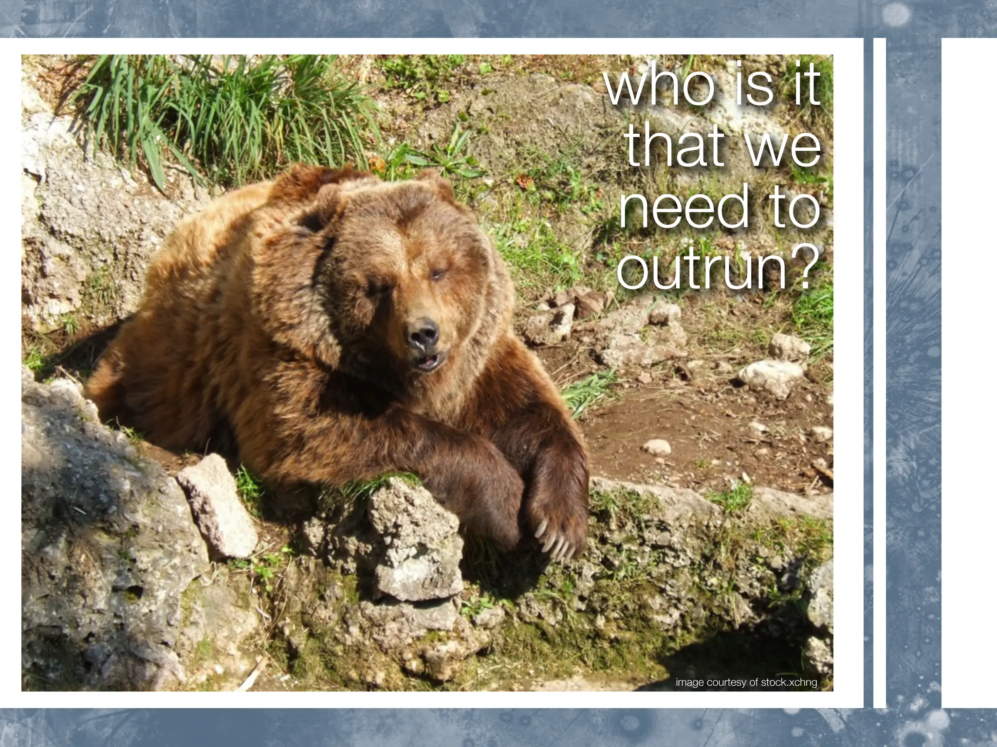 who is it
that we
need to
outrun?




   image courtesy of stock.xchng
 