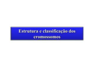 Estrutura e classificação dos
       cromossomos
 