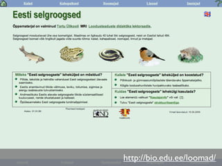 E-õpe ja digitaalsed õppematerjalid