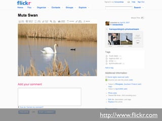 E-õpe ja digitaalsed õppematerjalid