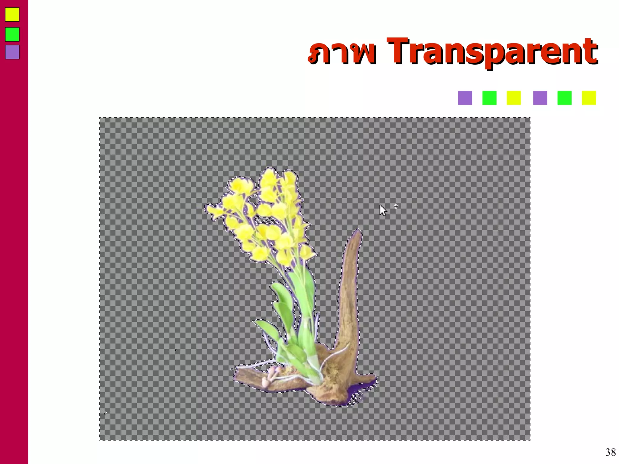 ภาพ  Transparent 