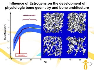 Influence of Estrogens on the development of
       physiologic bone geometry and bone architecture
                                                             menopause
                                       peak bone mass
                                                                   „norma
                   1,2 -                                             l“
Bone Mass (g/m2)




                   1,1 -



                   1,0 -



                   0,9 -                                                                     mean
                                                                                              SD

                   0,8 -

                                                                             fracture
                                                                            threshold
                                menarche

                     0     I       I           I        I           I            I      I     I
            0              10     20          30        40         50           60      70   80
                                                             Age
 