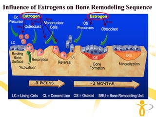 Influence of Estrogens on Bone Remodeling Sequence
      Estrogen               Estrogen
                 Neg       Neg
           Neg   .                  Neg
                           .
           .                        .
    Neg
    .
 
