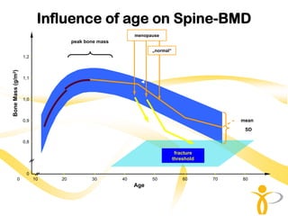 Influence of age on Spine-BMD
                                                             menopause
                                       peak bone mass
                                                                   „normal“
                   1,2 -
Bone Mass (g/m2)




                   1,1 -



                   1,0 -



                   0,9 -                                                                       mean
                                                                                                SD

                   0,8 -

                                                                               fracture
                                                                              threshold


                     0     I      I            I        I           I              I      I     I
            0              10     20          30        40         50             60      70   80
                                                             Age
 