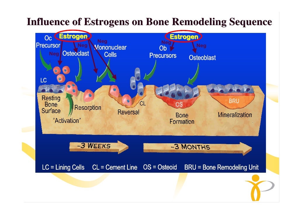 Prevention of Osteoporosis in early menopause