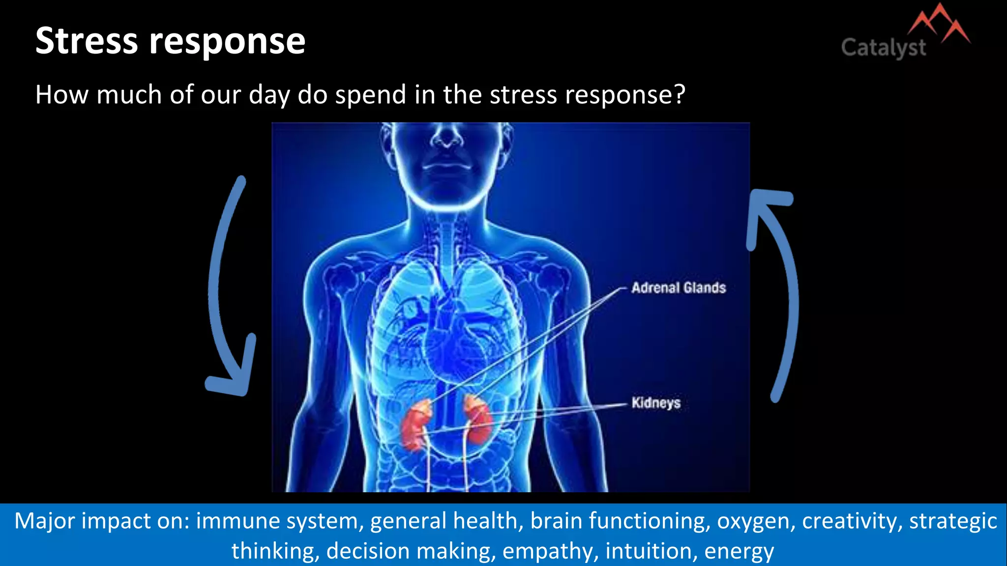 Stress response
Major impact on: immune system, general health, brain functioning, oxygen, creativity, strategic
thinking, decision making, empathy, intuition, energy
How much of our day do spend in the stress response?
 