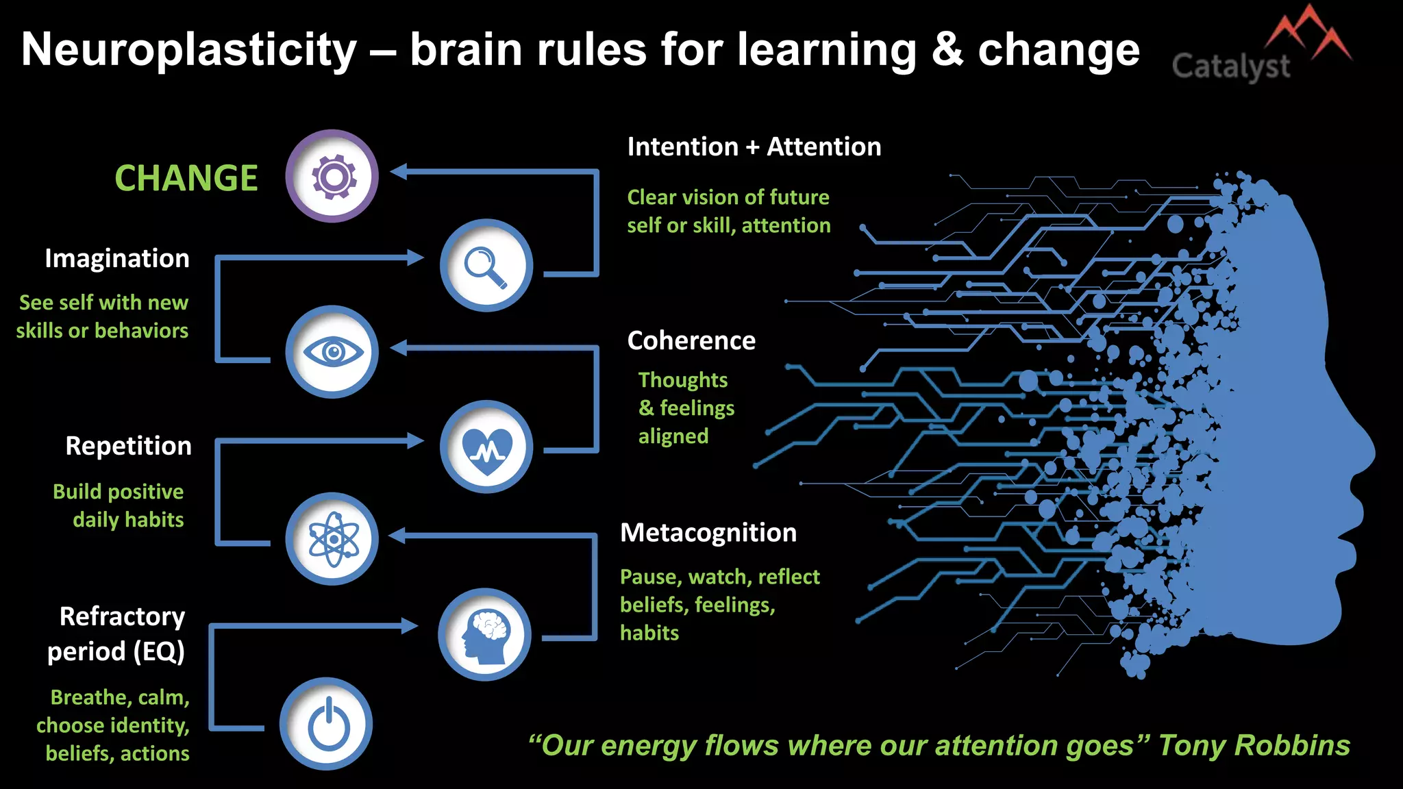 Neuroplasticity – brain rules for learning & change
Clear vision of future
self or skill, attention
Thoughts
& feelings
aligned
See self with new
skills or behaviors
Build positive
daily habits
Breathe, calm,
choose identity,
beliefs, actions
Pause, watch, reflect
beliefs, feelings,
habits
CHANGE
“Our energy flows where our attention goes” Tony Robbins
Intention + Attention
Coherence
Imagination
Repetition
Refractory
period (EQ)
Metacognition
 