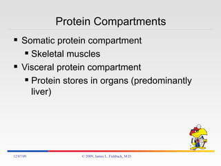 Protein Compartments  Somatic protein compartment Skeletal muscles Visceral protein compartment Protein stores in organs (predominantly liver) 06/07/09 © 2009, James L. Fishback, M.D. 