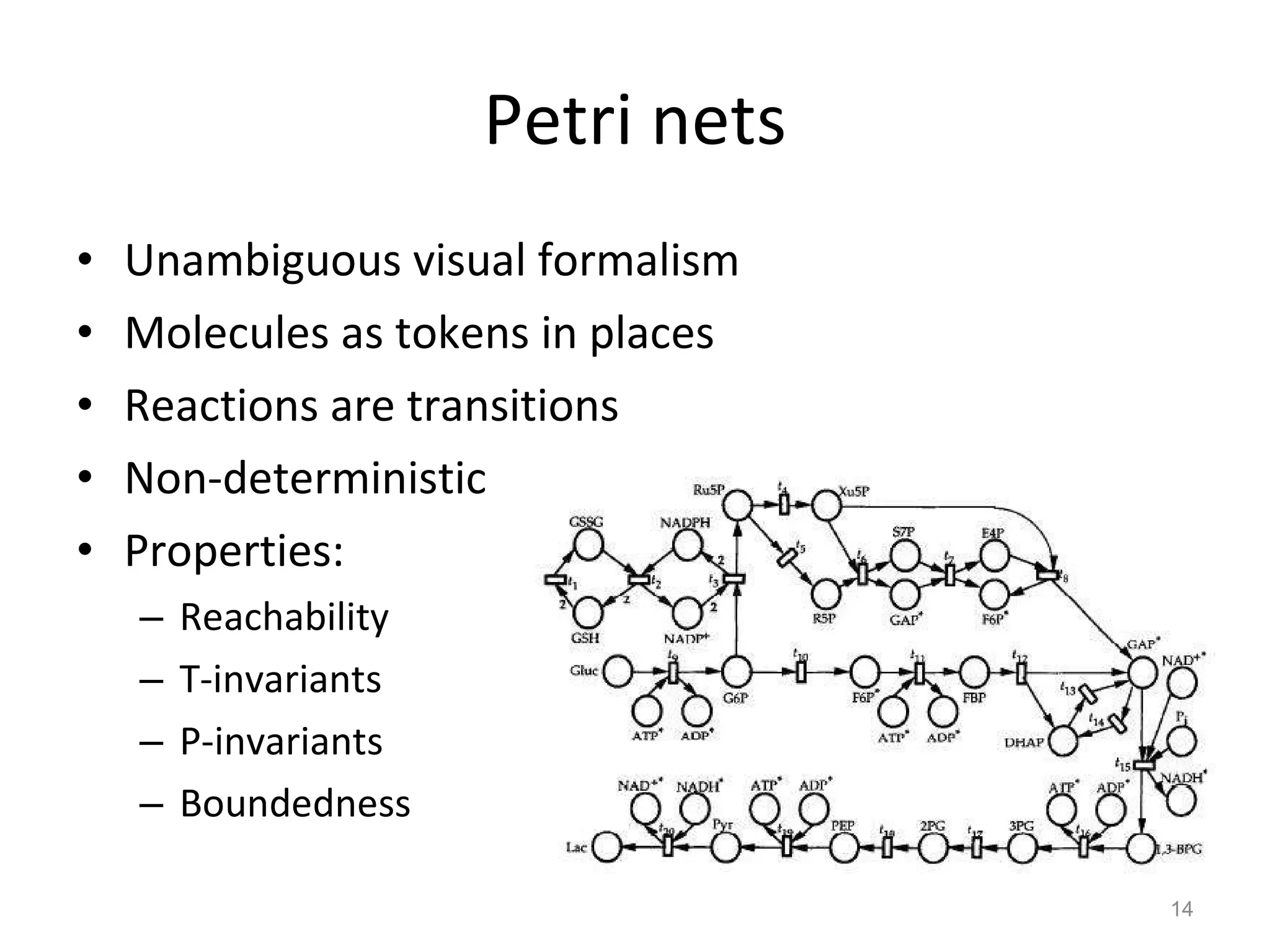 Petri nets Unambiguous visual formalism Molecules as tokens in places Reactions are transitions Non-deterministic Properties: Reachability T-invariants P-invariants Boundedness 
