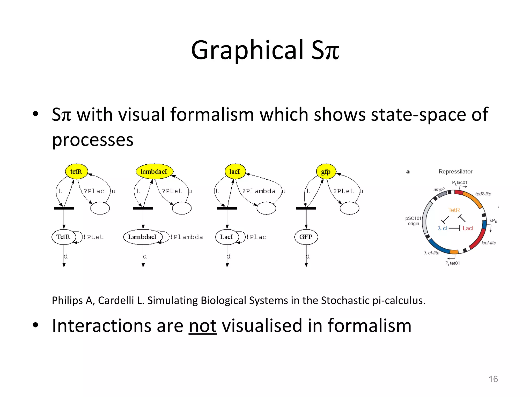 Graphical S π S π  with visual formalism which shows state-space of processes Philips A, Cardelli L. Simulating Biological Systems in the Stochastic pi-calculus. Interactions are  not  visualised in formalism 