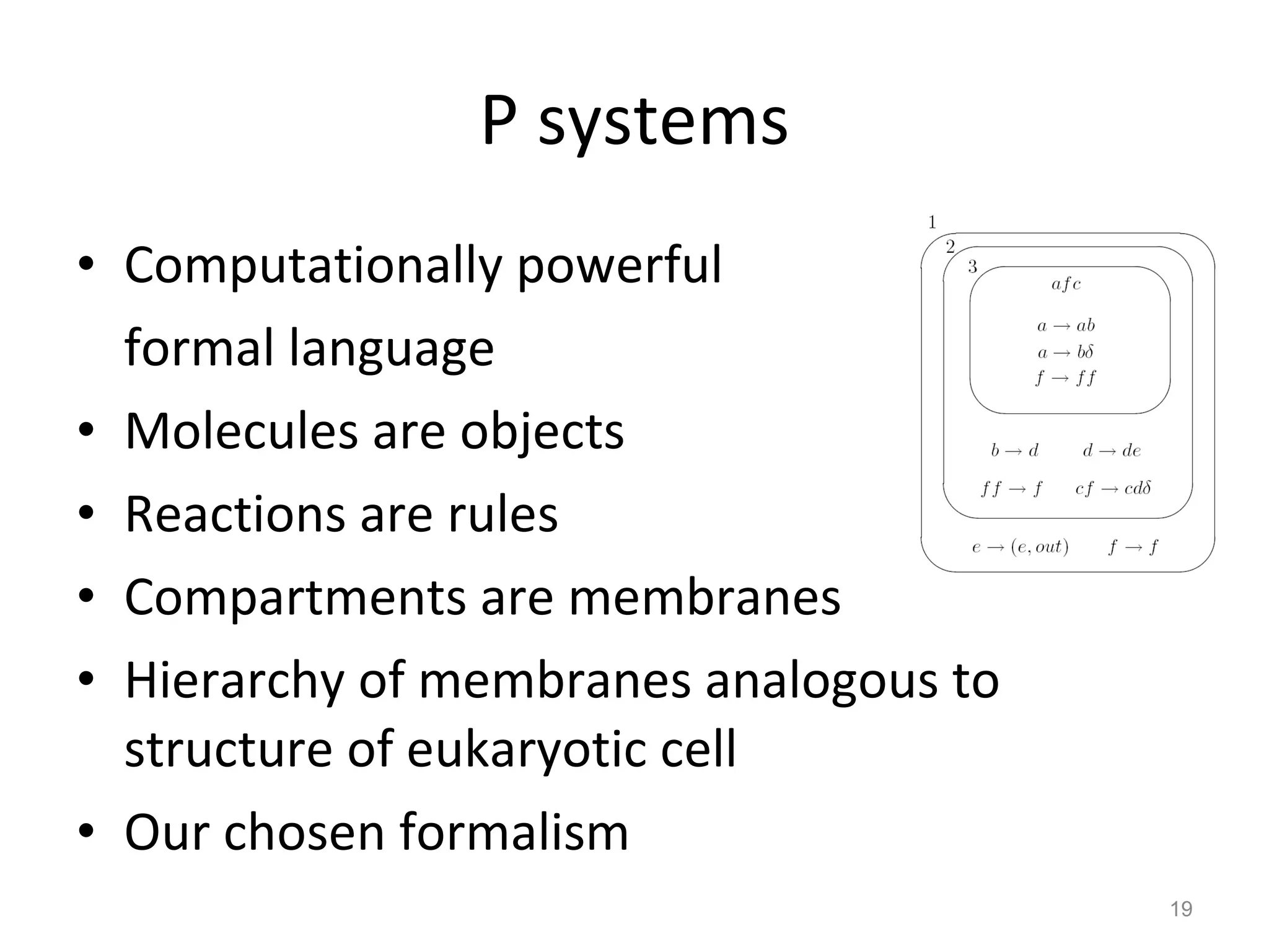 P systems Computationally powerful  formal language Molecules are objects Reactions are rules Compartments are membranes Hierarchy of membranes analogous to structure of eukaryotic cell Our chosen formalism 