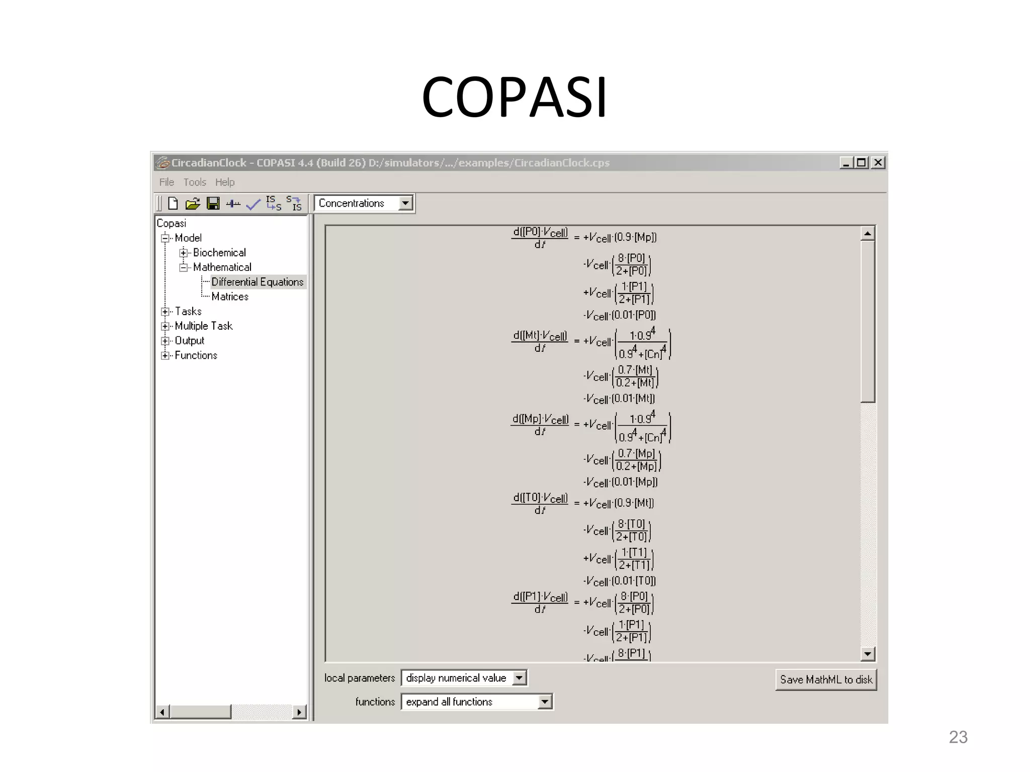 COPASI 