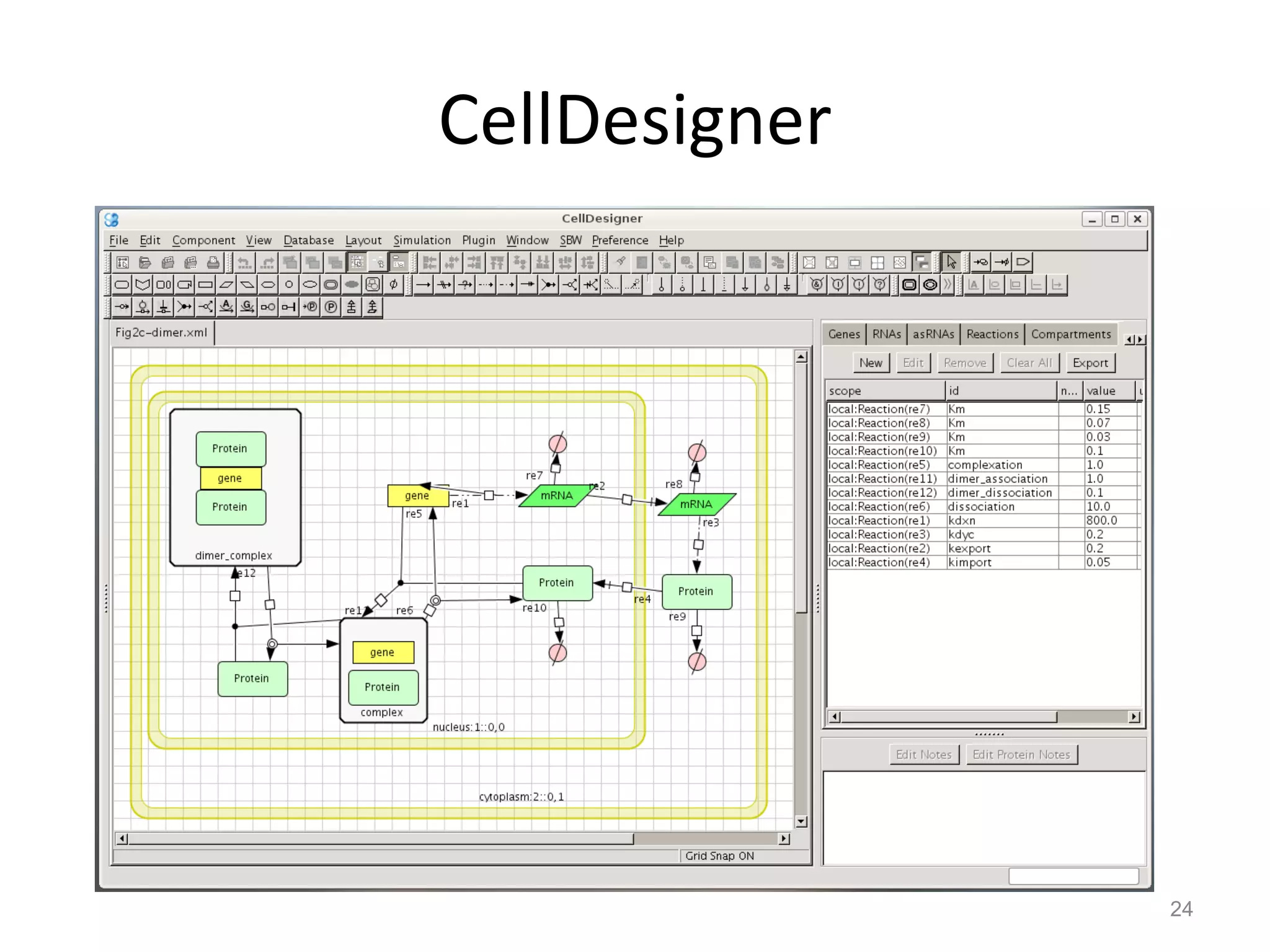 CellDesigner 