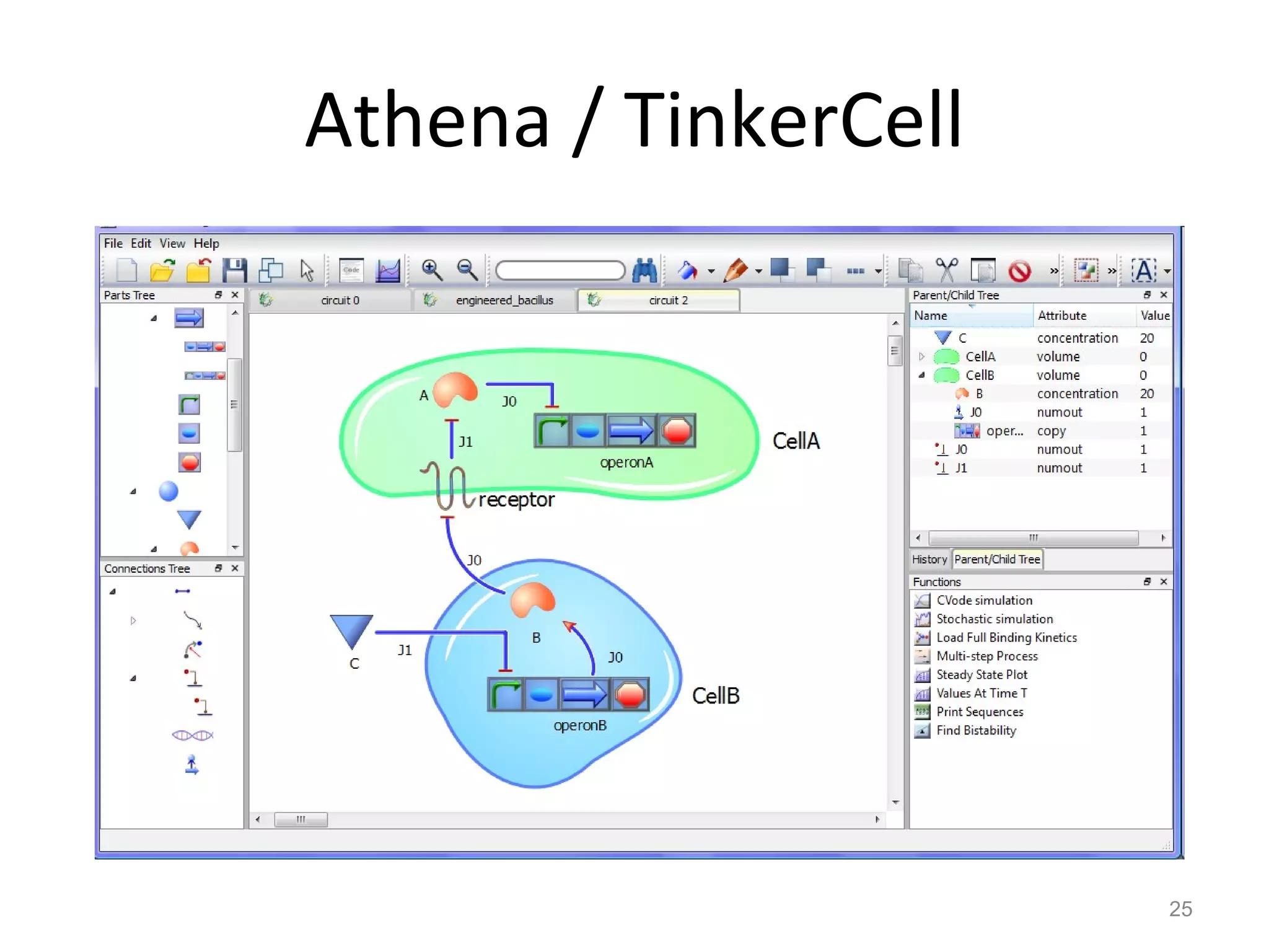 Athena / TinkerCell 