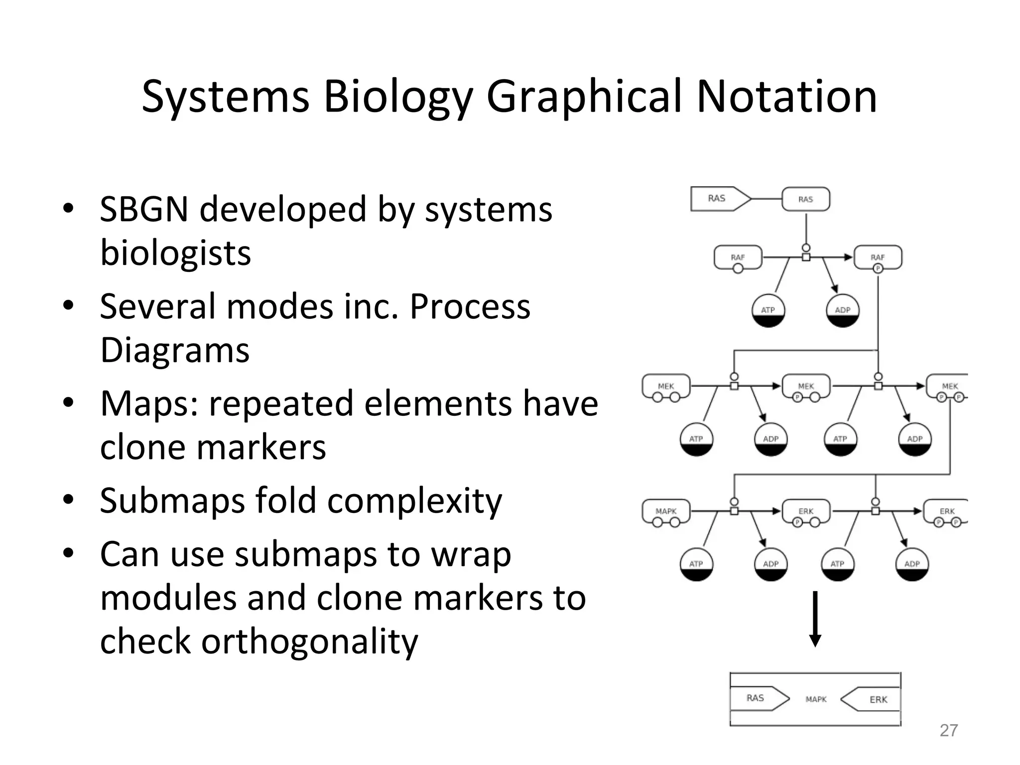 Systems Biology Graphical Notation SBGN developed by systems biologists Several modes inc. Process Diagrams Maps: repeated elements have clone markers Submaps fold complexity Can use submaps to wrap modules and clone markers to check orthogonality 
