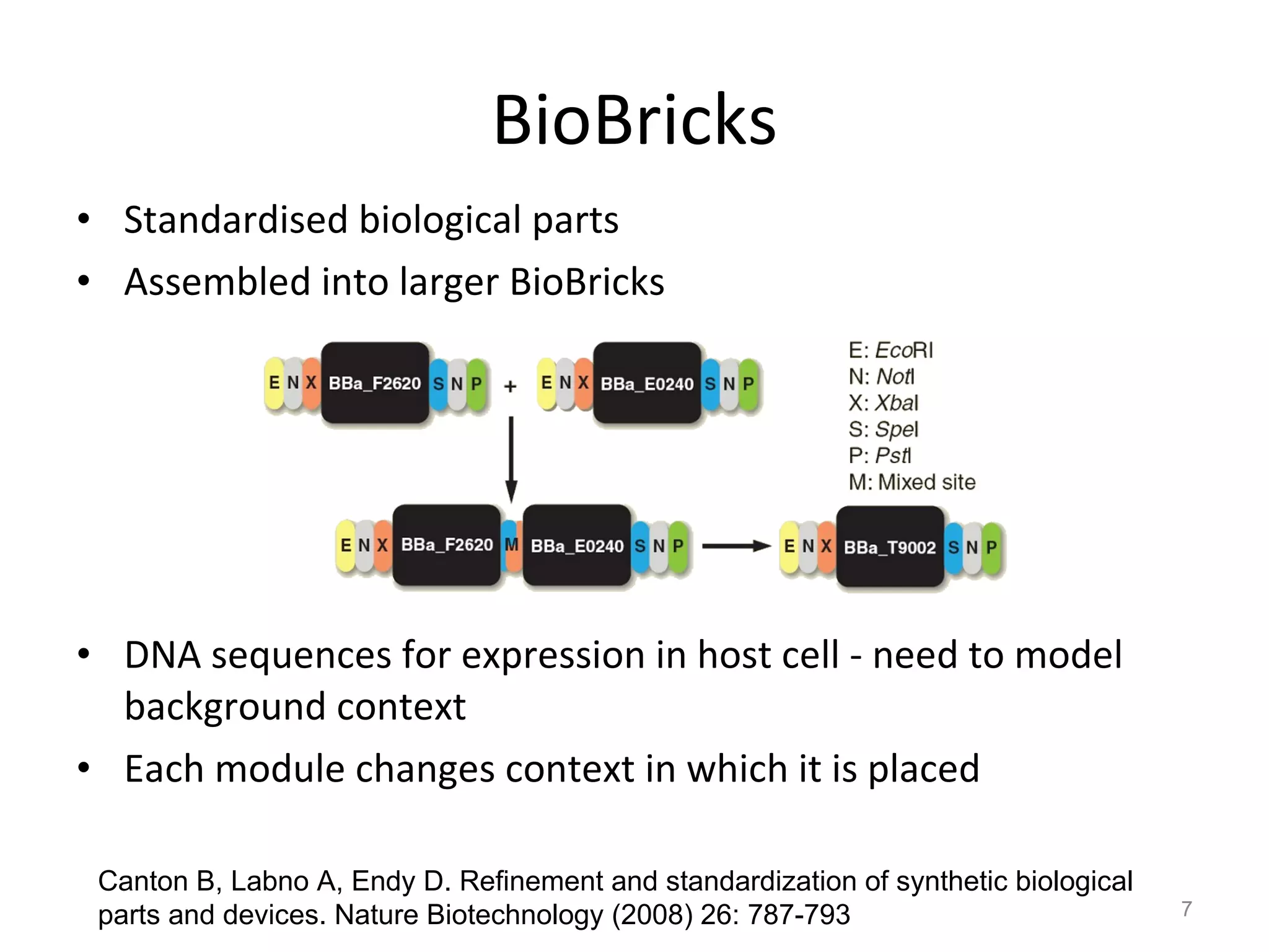 BioBricks Standardised biological parts Assembled into larger BioBricks DNA sequences for expression in host cell - need to model background context Each module changes context in which it is placed Canton B, Labno A, Endy D. Refinement and standardization of synthetic biological  parts and devices. Nature Biotechnology (2008) 26: 787-793 
