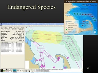 Endangered Species SNPWG http://www.ccom.unh.edu/vislab   