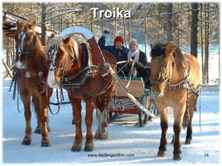 Troika




www.dadangsolihin.com   14
 