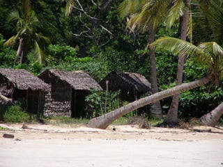 2009 02 Madagascar Images