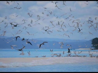 2009 02 Madagascar Images