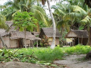 2009 02 Madagascar Images