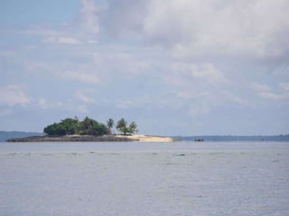 2009 02 Madagascar Images