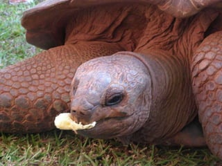 2009 02 Madagascar Images