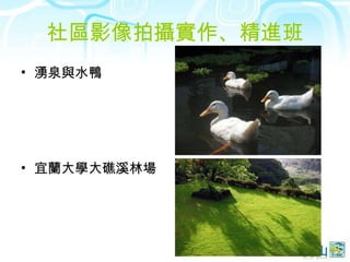 社區影像拍攝實作、精進班 湧泉與水鴨 宜蘭大學大礁溪林場 