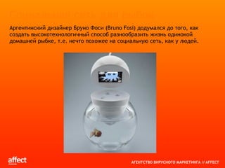 Корнеев Илья_аффект