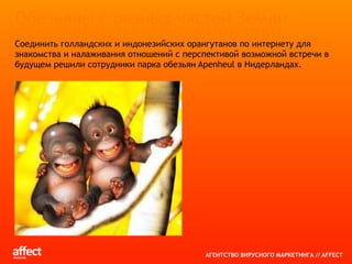 Корнеев Илья_аффект