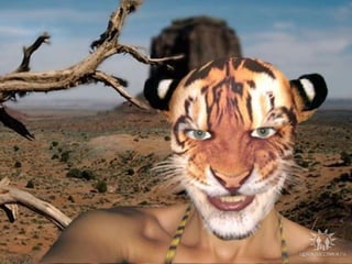 Корнеев Илья_аффект