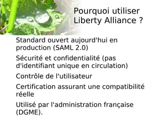 Informer sur les enjeux et les usages : Ma commune sur Internet, 