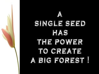 a single seed has the power to create a big forest ! 