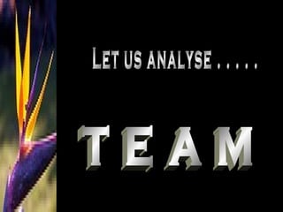 Let us analyse . . . . . T E A M 