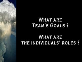 What are Team's Goals ? What are the individuals' roles ? 