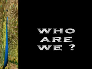 who are we ? 